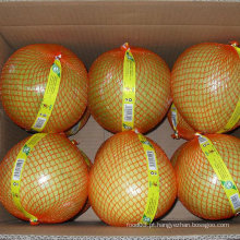 Alta Qualidade de Nova Colheita Mel Fresco Pomelo